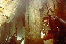 Cave Divers