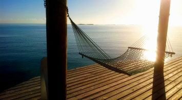 Bahamas dock hammock
