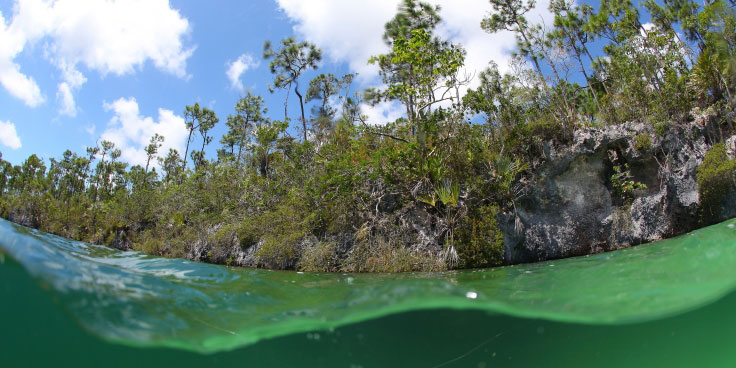 nature tour bahamas